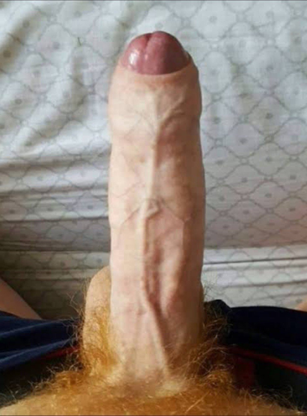 Photo by DocRS with the username @DocRS, who is a verified user,  May 1, 2023 at 6:55 AM. The post is about the topic Big dicks and the text says 'My favorite type of Male !!!
Big !
Thick !
Curved Up !
Uncut !
Hairy !
❤️❤️❤️'