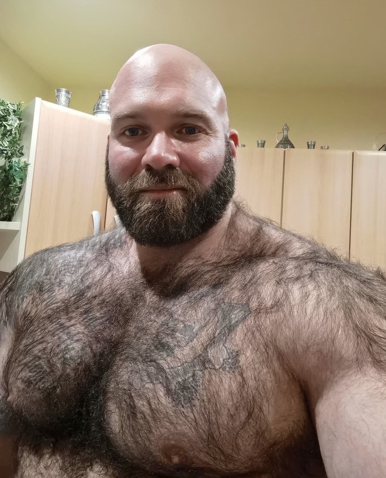 Watch the Photo by DocRS with the username @DocRS, who is a verified user, posted on April 27, 2023. The post is about the topic Gay bears and their pleasure life. and the text says 'The Bear Goes to the Forest ! ❤️🐻❤️'