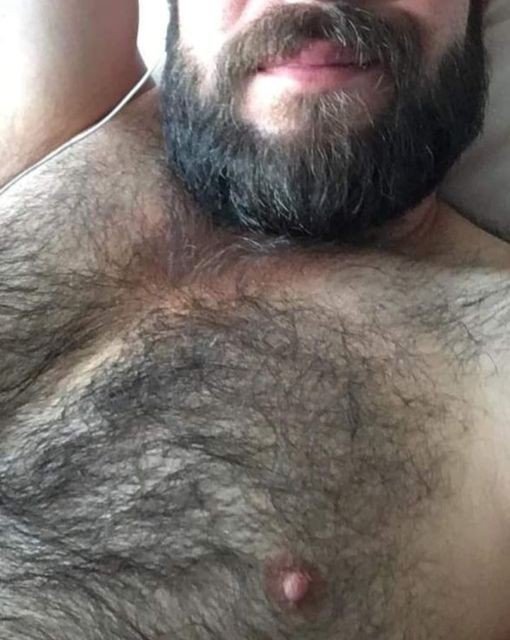 Photo by DocRS with the username @DocRS, who is a verified user,  July 5, 2023 at 2:14 AM. The post is about the topic Gay bears and their pleasure life and the text says 'Bearded Bears ... 

I can help care.  I wash, comb, massage and then I kiss and mess everything up   
😊❣️'