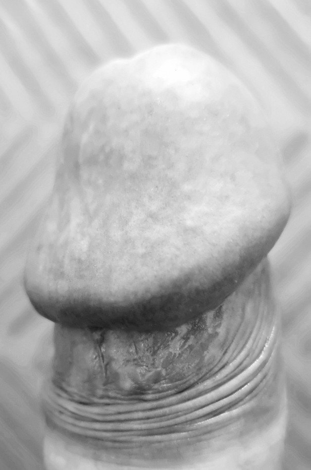 Photo by jst anotheruser with the username @jstanotheruser, who is a verified user,  July 1, 2023 at 7:49 AM. The post is about the topic Rate my pussy or dick and the text says 'Dickhead #dickpic #mydick #mushroom #dickhead #justthetip #blackandwhite #hardcock #ratemydick #msgme #uncut'
