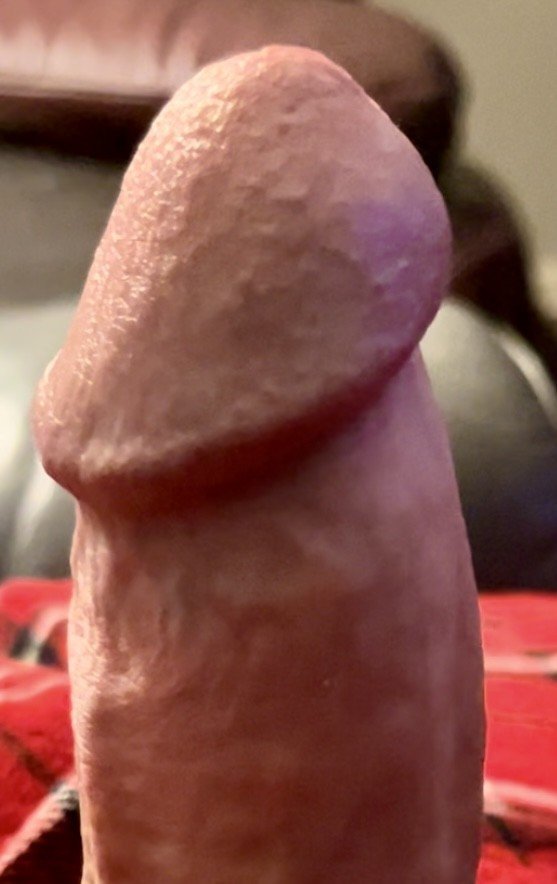 Photo by Bronco1911 with the username @Bronco1911, who is a verified user,  April 8, 2024 at 12:53 PM. The post is about the topic Rate my pussy or dick and the text says 'Just sitting here on the couch looking at sharesome and this "Poped Up"! Hope you enjoy'