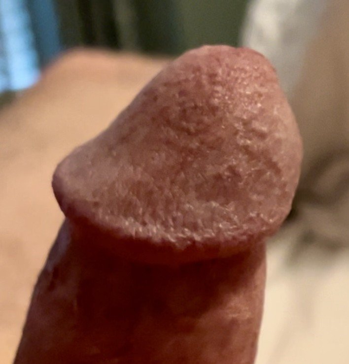 Photo by Bronco1911 with the username @Bronco1911, who is a verified user,  April 27, 2024 at 4:10 PM. The post is about the topic Rate my pussy or dick and the text says 'Another morning Wood'