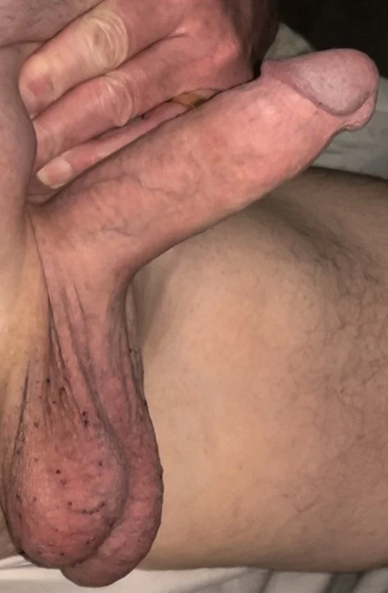 Photo by Bronco1911 with the username @Bronco1911, who is a verified user,  April 3, 2024 at 11:23 PM. The post is about the topic DIcks out and the text says 'Another Morning Wood'