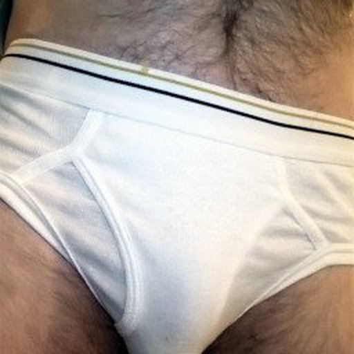 Shared Photo by HungryHairyDude with the username @HungryHairyDude, who is a verified user,  April 21, 2024 at 3:35 AM. The post is about the topic Tighty Whities