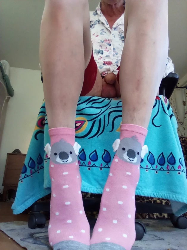 Photo by Thongpanties with the username @Thongpanties, who is a verified user,  March 24, 2024 at 7:59 PM. The post is about the topic Sissy and the text says 'My new pair of Sissy Socks..'