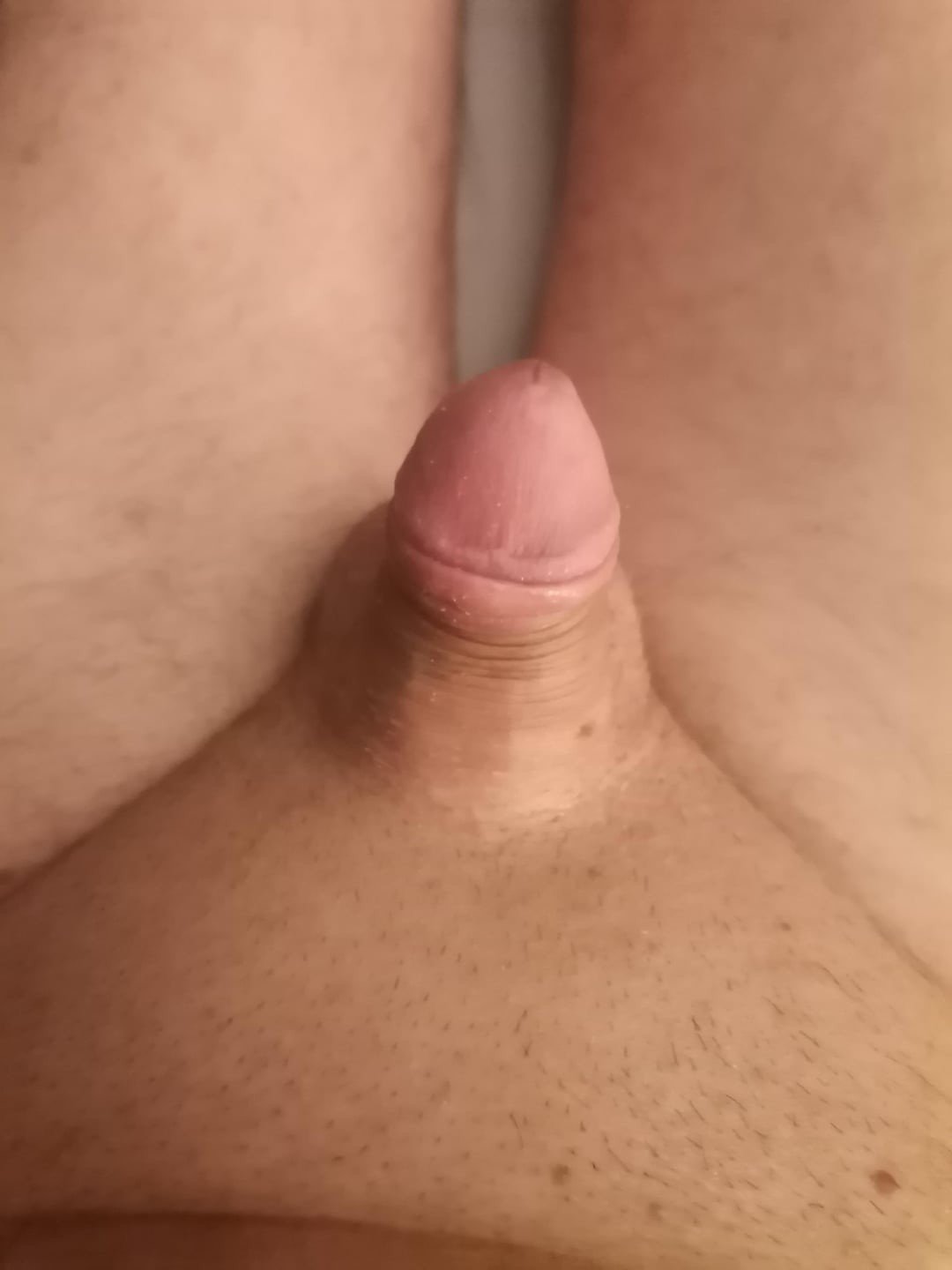 Album by Cockjocky with the username @Cockjocky, who is a verified user,  June 13, 2024 at 1:59 PM. The post is about the topic TINY TIDDLERS,,[lovely small cock ]