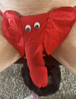 Album by Sticksquirt31 with the username @Sticksquirt31, who is a verified user,  November 1, 2024 at 7:51 PM. The post is about the topic Big Cock Lovers and the text says 'Anyone like my trunk??'