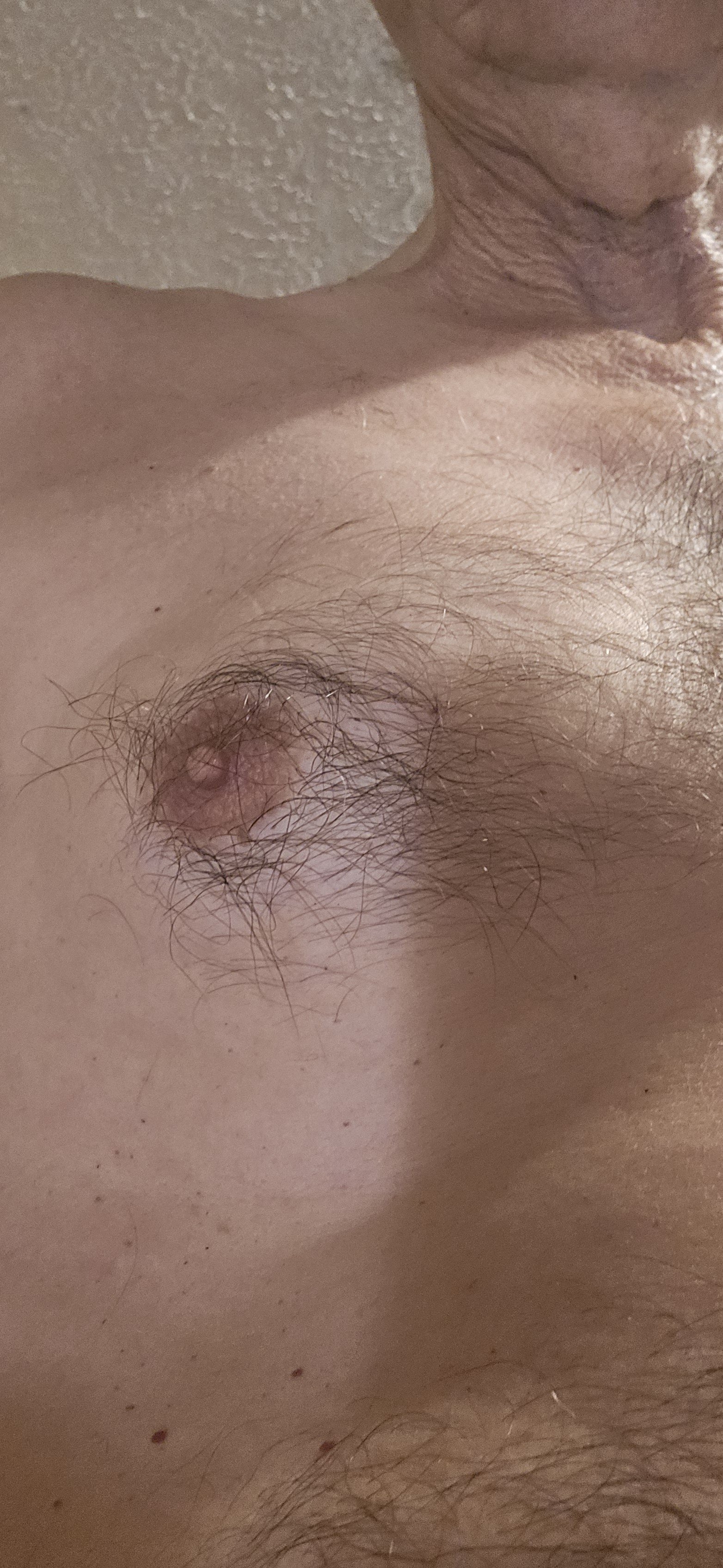 Album by Gaybird1957 with the username @Gaybird1957, who is a verified user,  June 29, 2024 at 12:21 PM. The post is about the topic male nipples