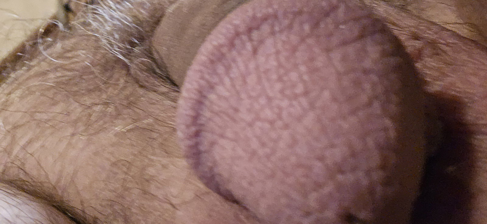 Album by Gaybird1957 with the username @Gaybird1957, who is a verified user,  September 10, 2024 at 9:29 PM. The post is about the topic Cocks Up-Close and Personal