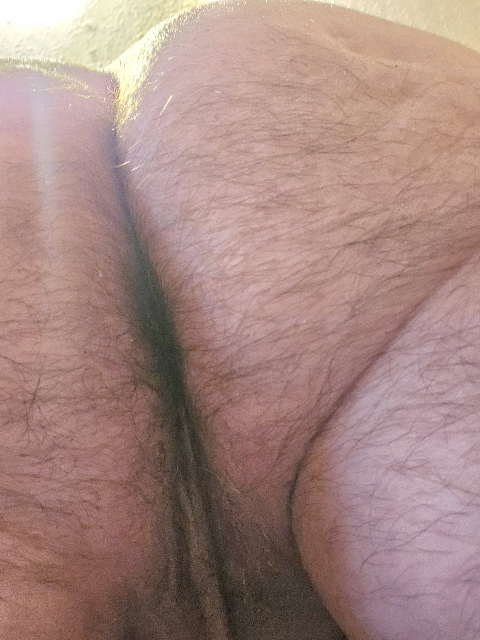 Photo by Gaybird1957 with the username @Gaybird1957, who is a verified user,  April 28, 2024 at 10:51 PM. The post is about the topic Hairy butt