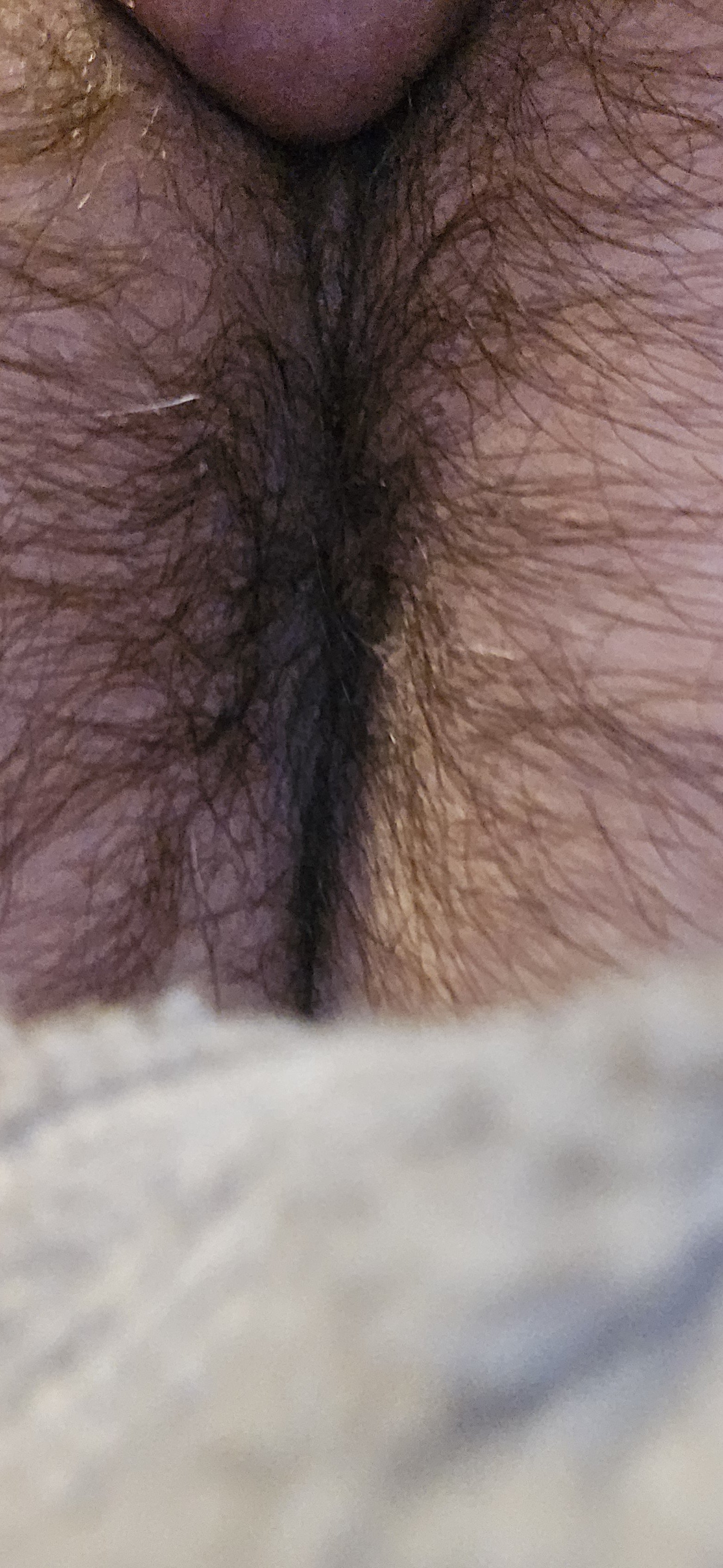 Album by Gaybird1957 with the username @Gaybird1957, who is a verified user,  October 4, 2024 at 9:46 PM. The post is about the topic Gay hairy asshole