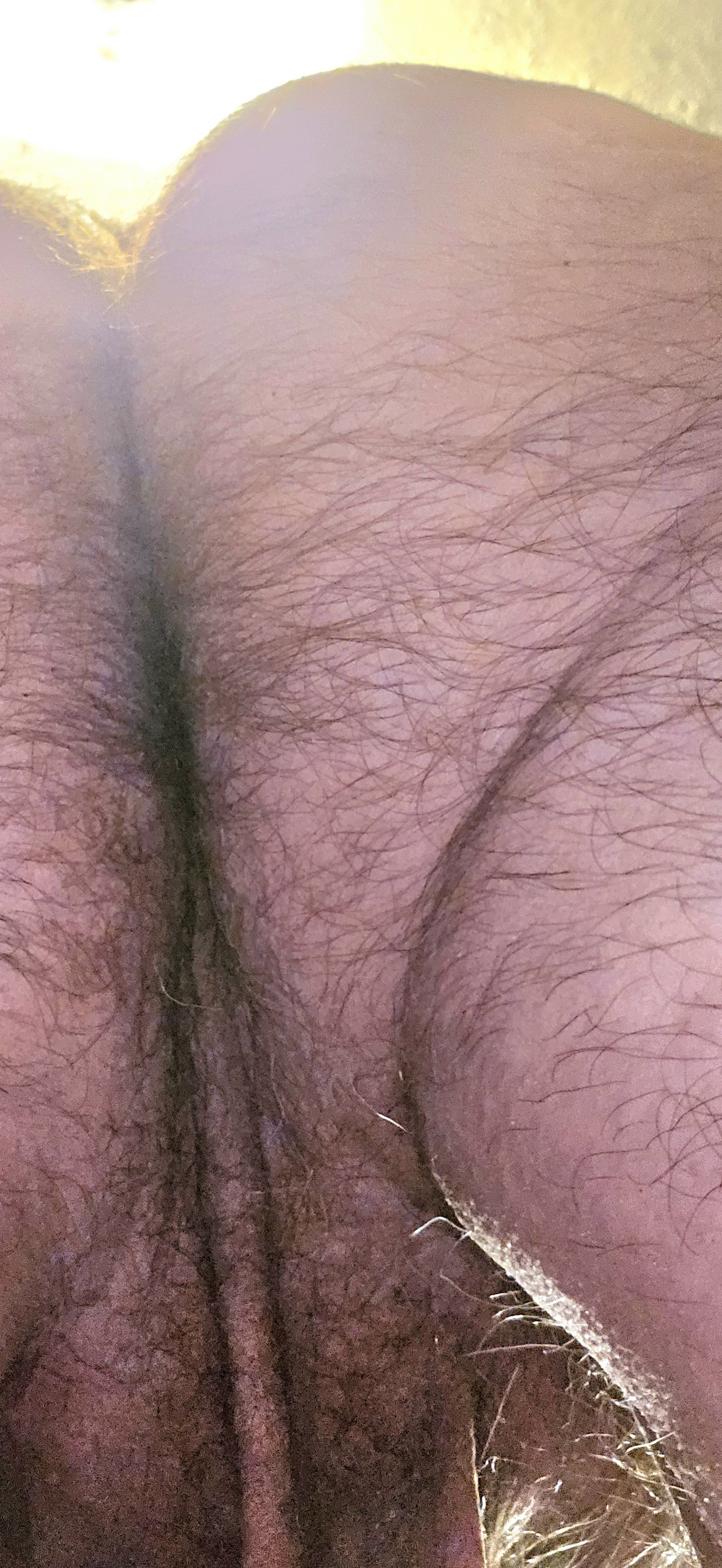 Photo by Gaybird1957 with the username @Gaybird1957, who is a verified user,  May 22, 2024 at 7:50 AM. The post is about the topic Gay hairy asshole