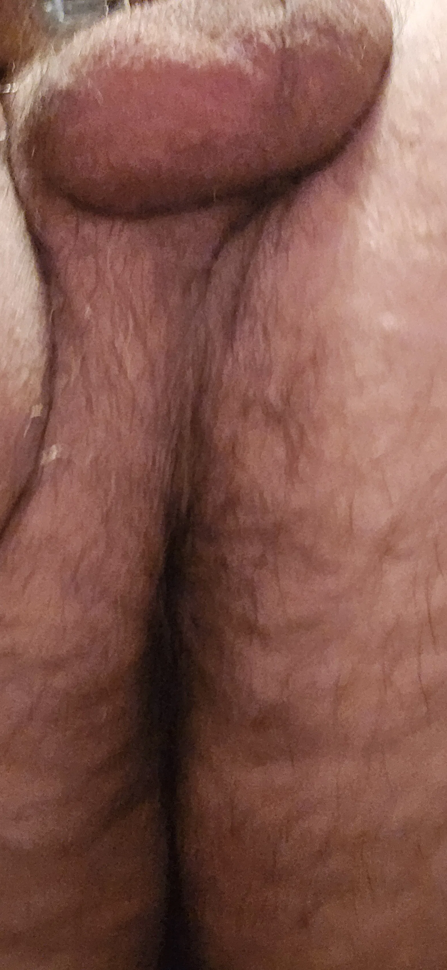 Photo by Gaybird1957 with the username @Gaybird1957, who is a verified user,  May 22, 2024 at 7:50 AM. The post is about the topic Gay hairy asshole