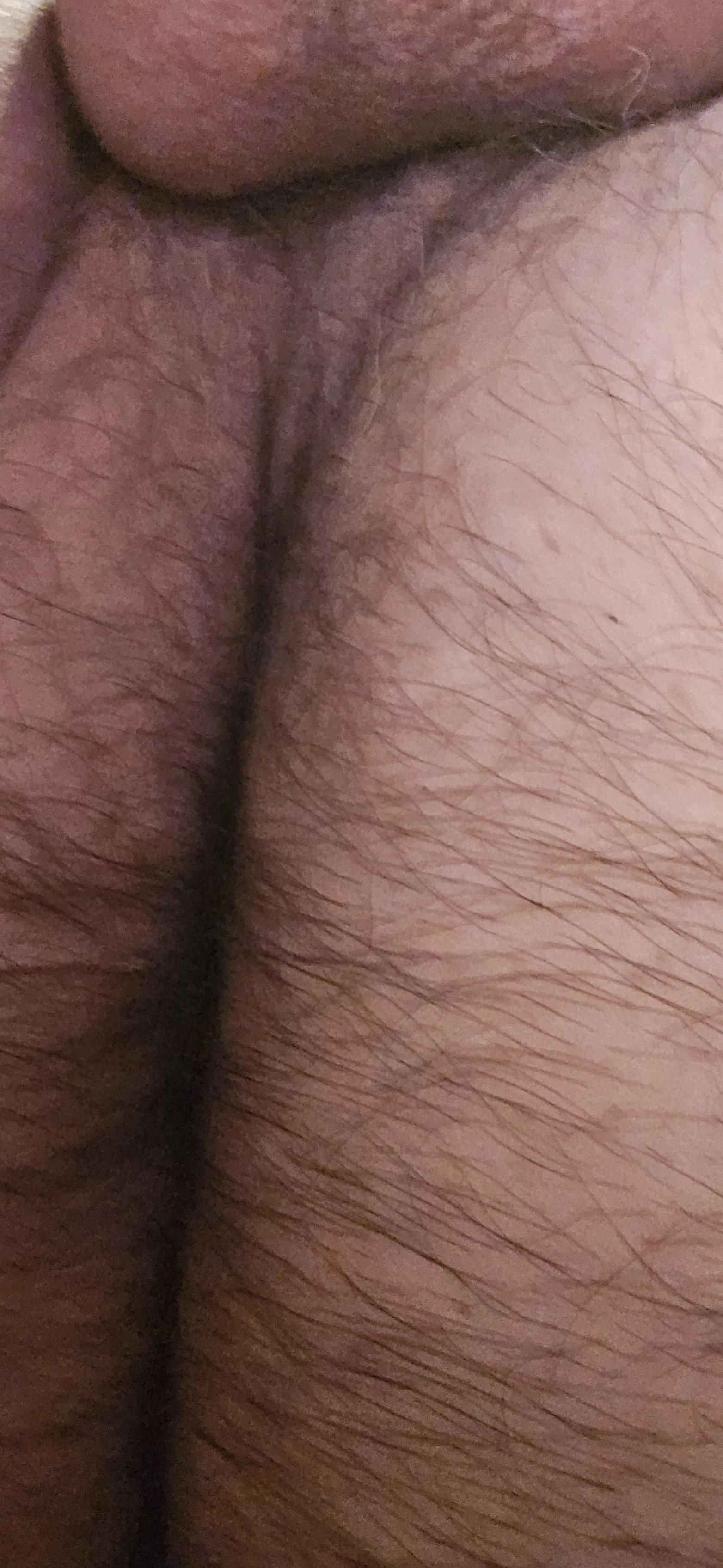 Photo by Gaybird1957 with the username @Gaybird1957, who is a verified user,  May 22, 2024 at 7:50 AM. The post is about the topic Gay hairy asshole