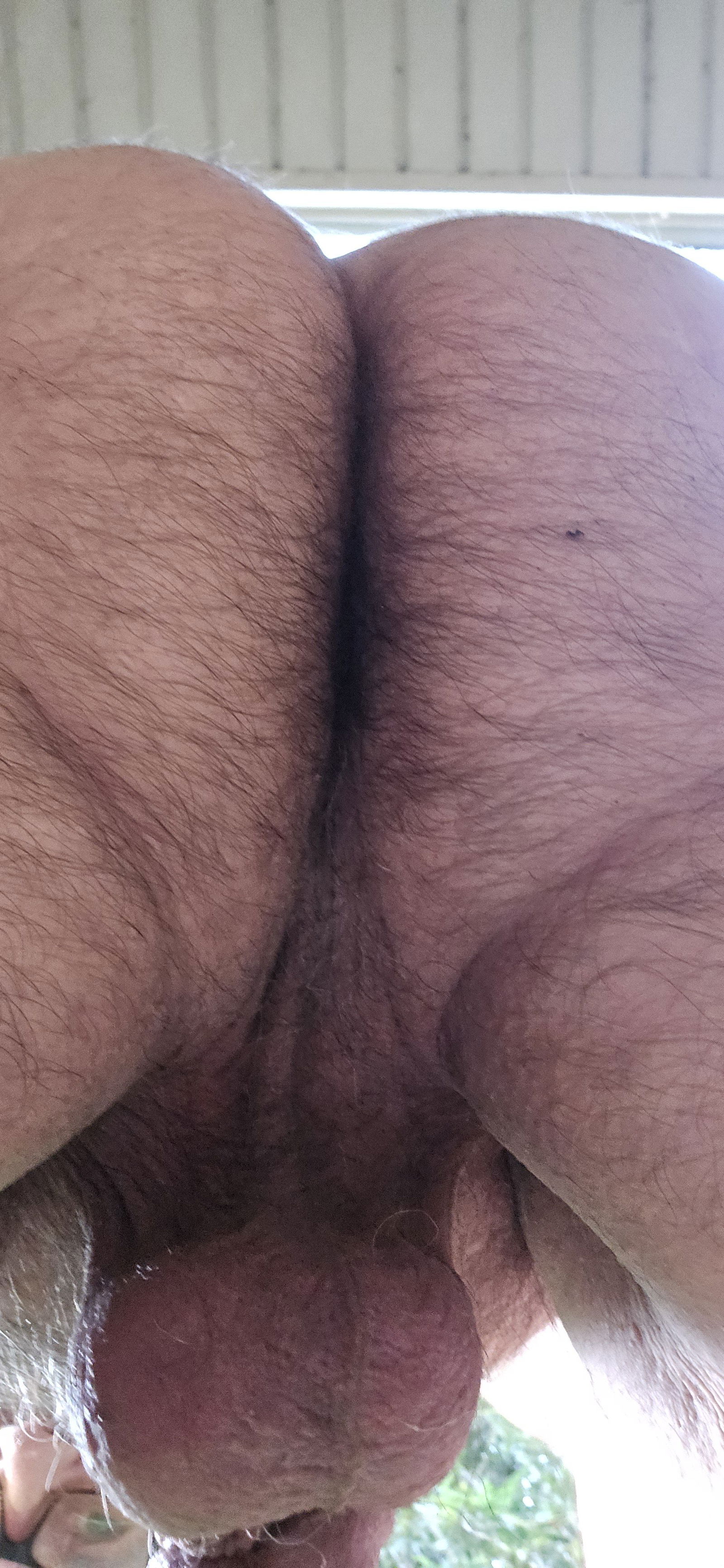 Album by Gaybird1957 with the username @Gaybird1957, who is a verified user,  October 4, 2024 at 9:46 PM. The post is about the topic Gay hairy asshole