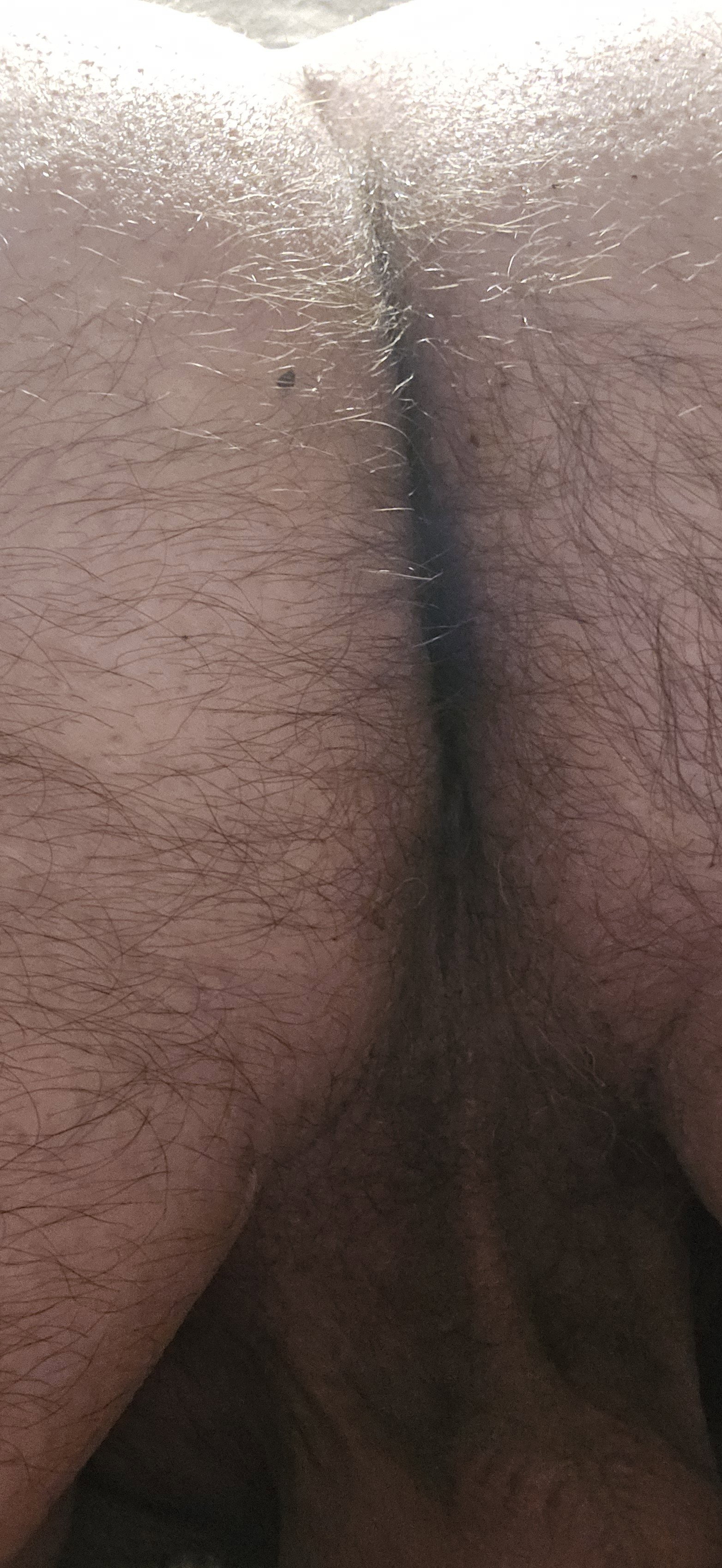 Photo by Gaybird1957 with the username @Gaybird1957, who is a verified user,  May 22, 2024 at 7:50 AM. The post is about the topic Gay hairy asshole