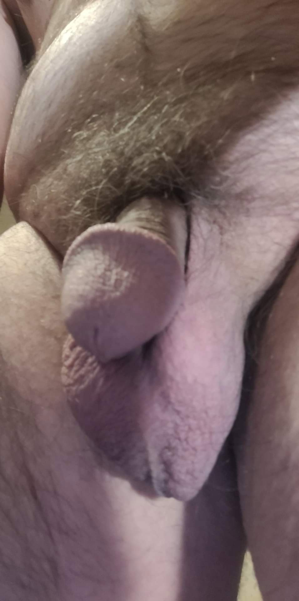 Photo by Gaybird1957 with the username @Gaybird1957, who is a verified user,  April 30, 2024 at 12:39 AM. The post is about the topic Cock Heads
