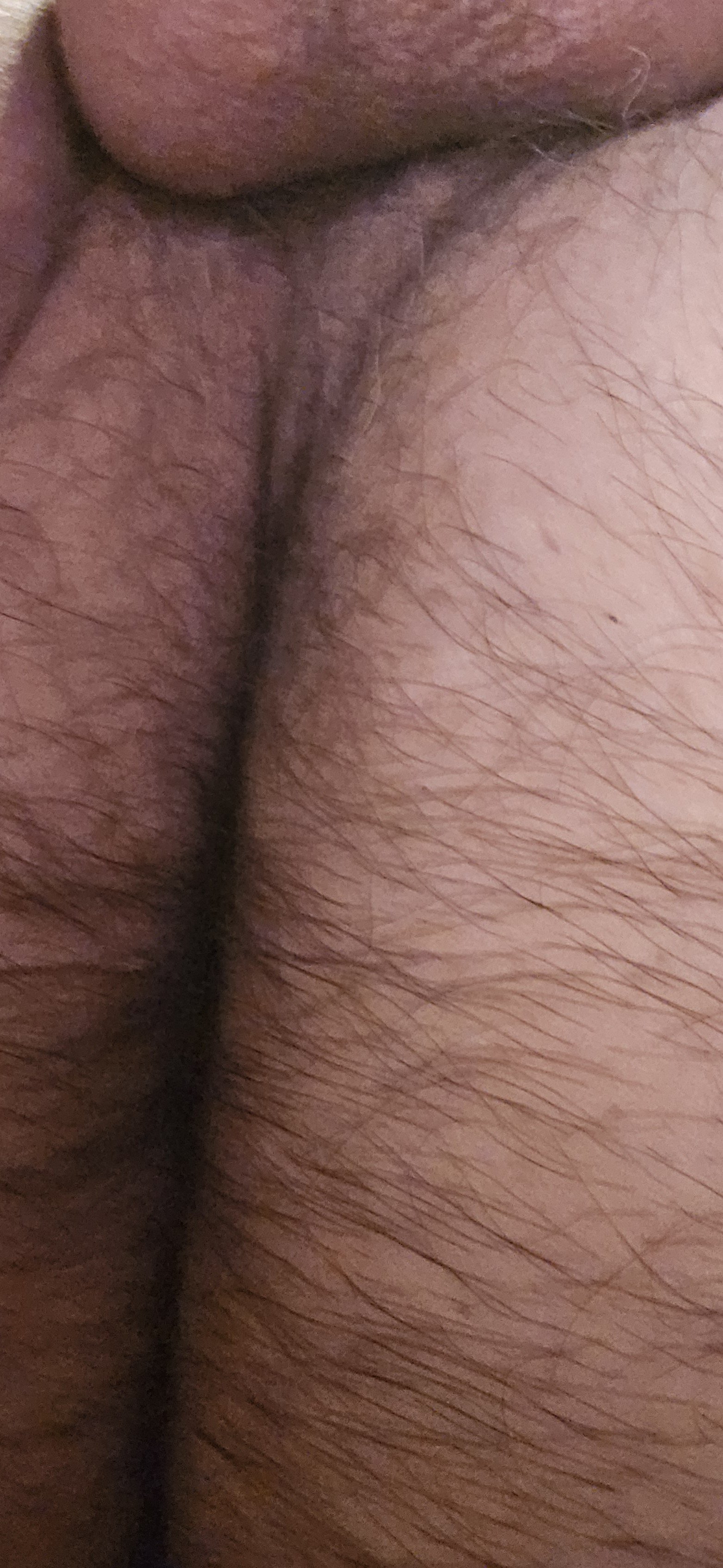 Album by Gaybird1957 with the username @Gaybird1957, who is a verified user,  May 22, 2024 at 3:57 AM. The post is about the topic male ass cracks are so fantastic