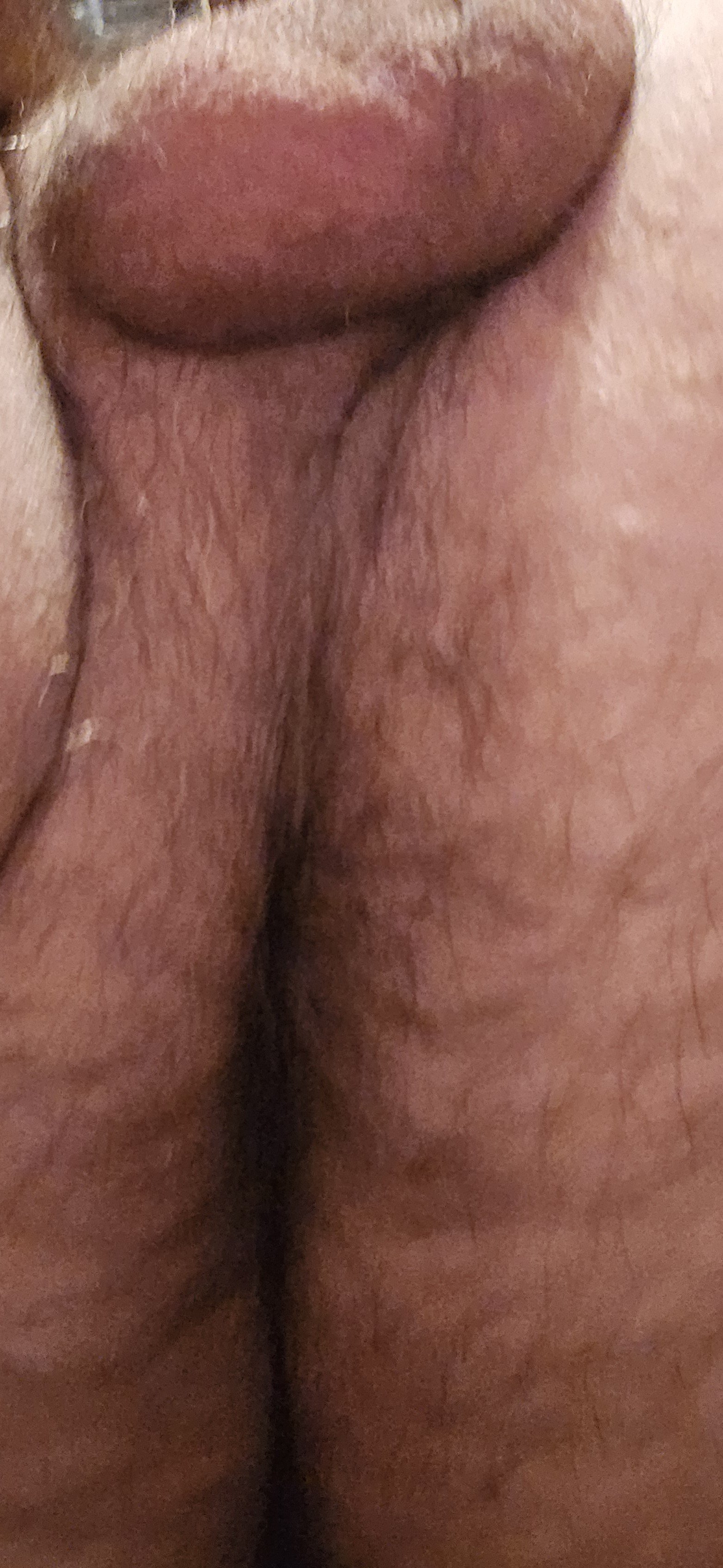 Photo by Gaybird1957 with the username @Gaybird1957, who is a verified user,  May 22, 2024 at 3:57 AM. The post is about the topic male ass cracks are so fantastic