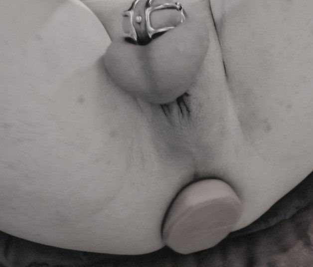 Photo by Splash with the username @SplashNcrash, who is a verified user,  January 31, 2024 at 1:38 PM. The post is about the topic Male Chastity and the text says '#caged #buttplug #chastity #pa #princealbert'