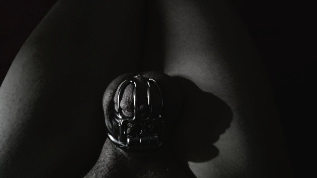 Photo by Splash with the username @SplashNcrash, who is a verified user,  March 8, 2024 at 11:20 AM. The post is about the topic She's THE BOSS! and the text says '#chastity'