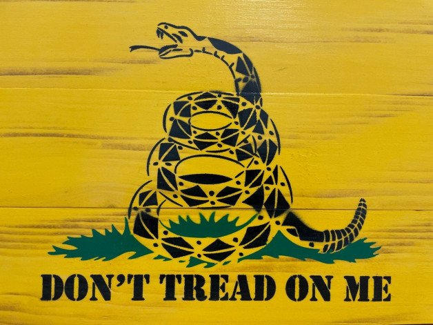 Photo by ALLMAN98 with the username @ALLMAN98,  June 8, 2023 at 12:17 PM and the text says 'DON'T TREAD ON ME'