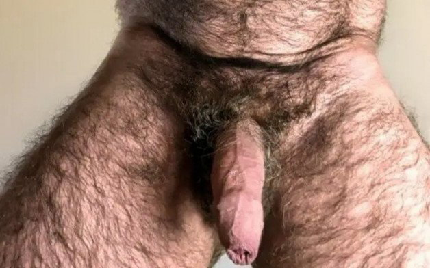 Photo by FurFactor with the username @FurFactor, who is a verified user,  April 30, 2024 at 3:10 PM and the text says 'Whoa!  This is one hot hairy stud'