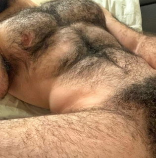 Photo by FurFactor with the username @FurFactor, who is a verified user,  June 18, 2024 at 9:45 PM. The post is about the topic Gay Hairy Men and the text says 'Nice!'