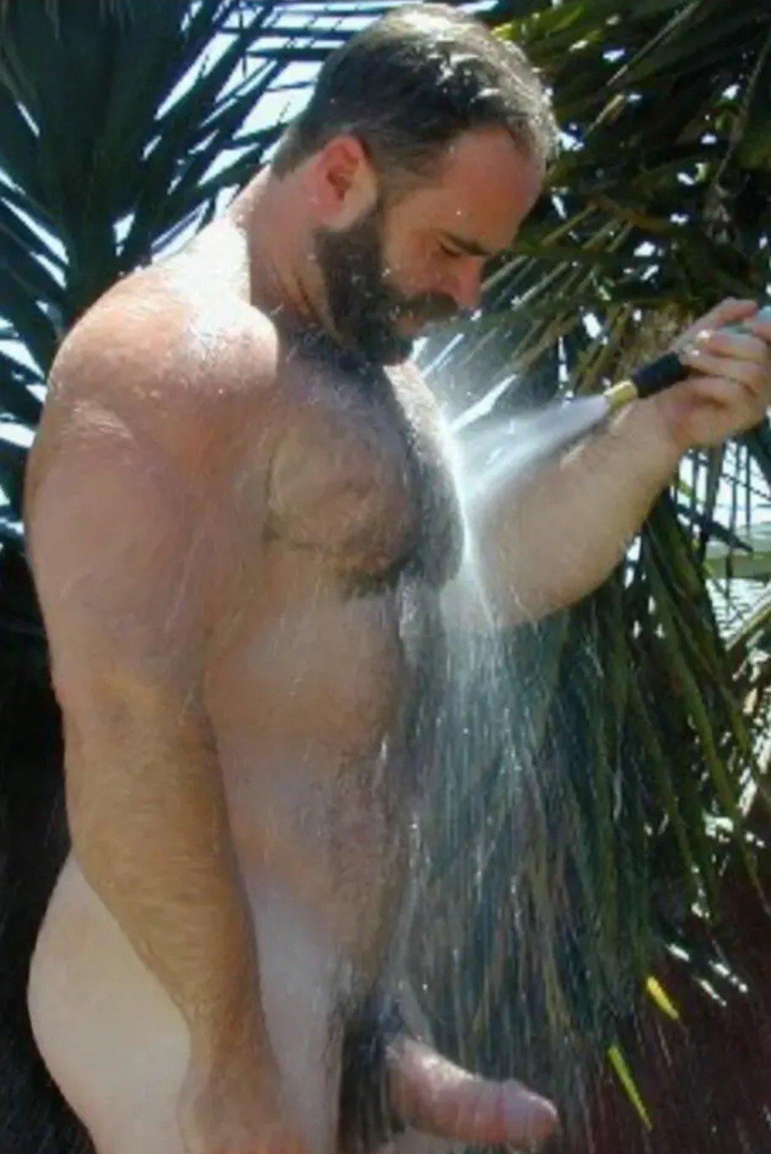 Album by FurFactor with the username @FurFactor, who is a verified user,  July 7, 2024 at 6:39 PM. The post is about the topic Gay Outdoor Shower and the text says 'Cool down that hot hairy body'