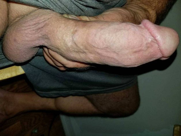 Photo by Eight inched Ed with the username @eightinched, who is a verified user,  November 18, 2023 at 11:04 AM and the text says 'my erect thick cock

#eightinched #thickdick #fatcock #hugecock #hung #longdick #girth #monstercock #9inchcock #heavy #huge #thick #mycock'