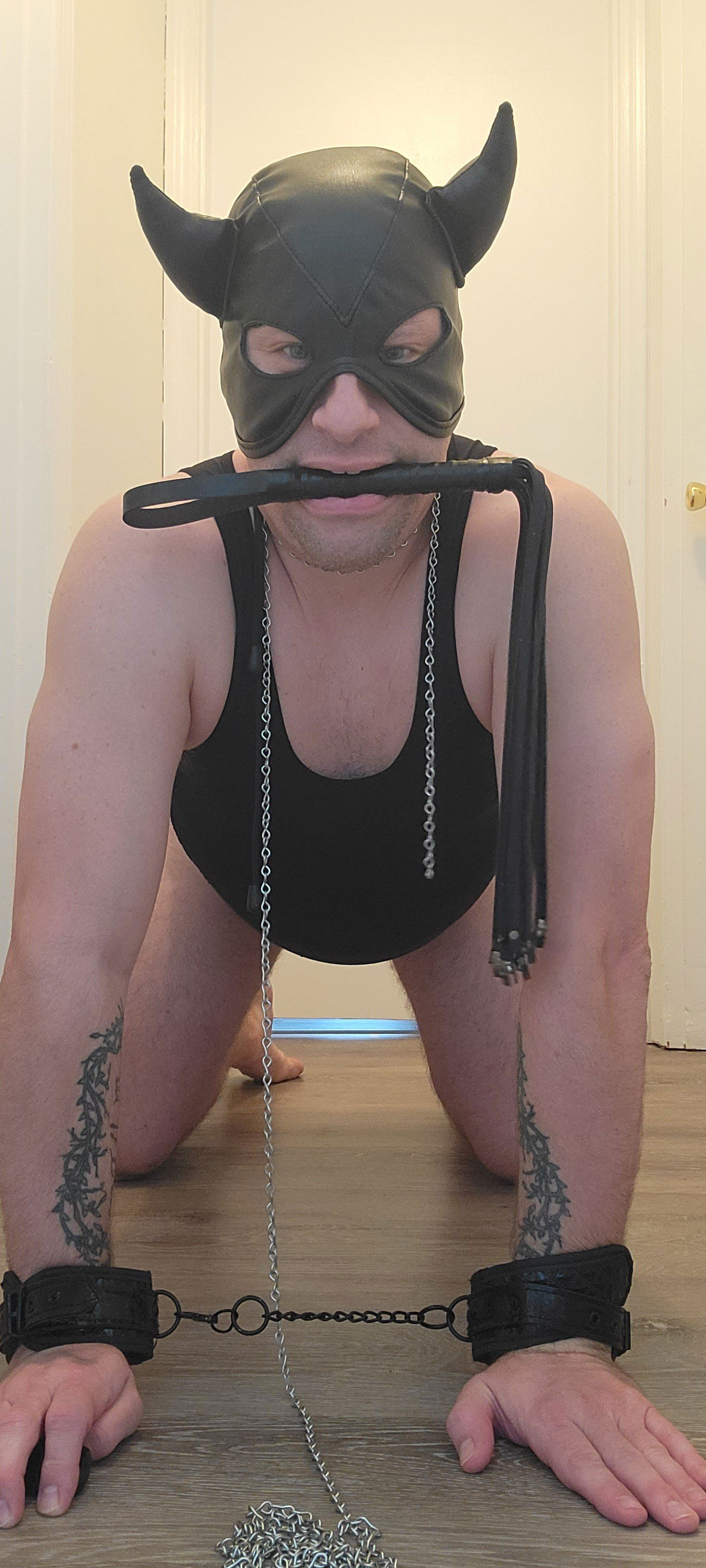 Photo by NaughtyTributes80 with the username @NaughtyTributes80, who is a verified user,  August 15, 2023 at 3:48 PM. The post is about the topic Bondage und Bdsm and the text says 'NEW BONDAGE PICS #bondage #cock #flogger #whips #maskedsub #maskeddomme #sub #domme'