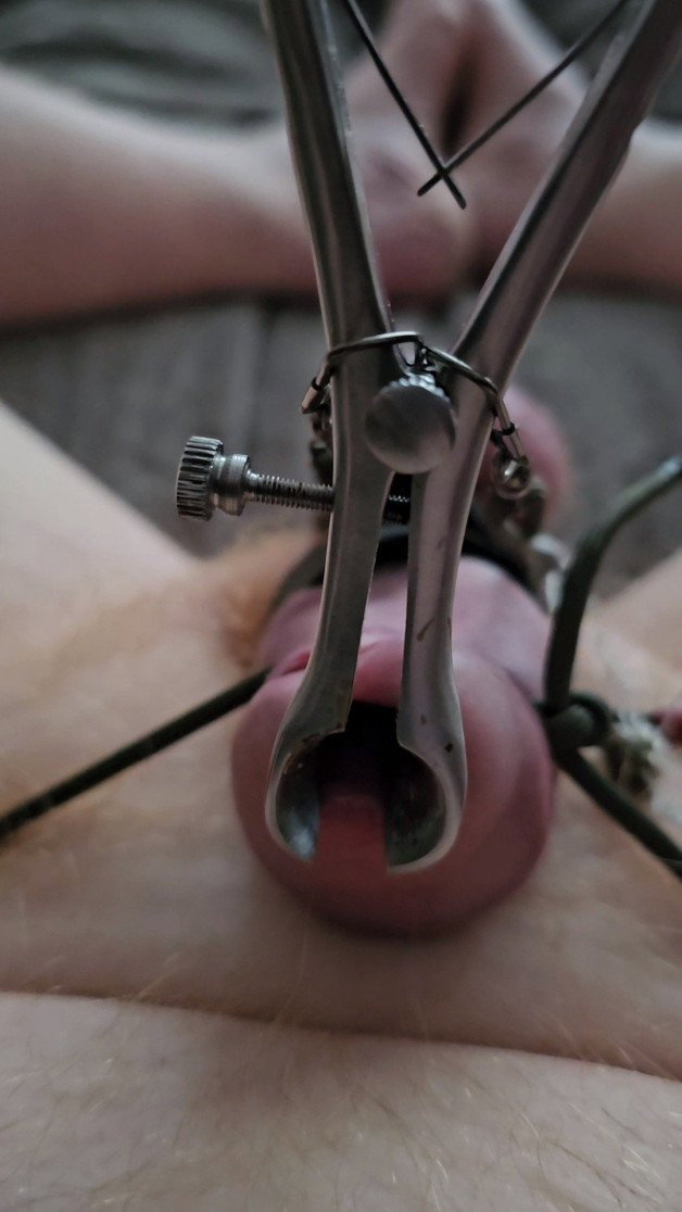Watch the Photo by Blazinballs333 with the username @Blazinballs333, who is a verified user, posted on November 29, 2023. The post is about the topic CBT 4 ME. and the text says 'Me# Tortured Cock and Balls, Bound, Urethral Stretch With Electro E-stim Speculum, Electro Silicone Cock Ring and TENS Pads on Balls And Top of Knob End. Ending With a Navel Full of Tasty Cum.( i can only say "fucking hell, WOW"'