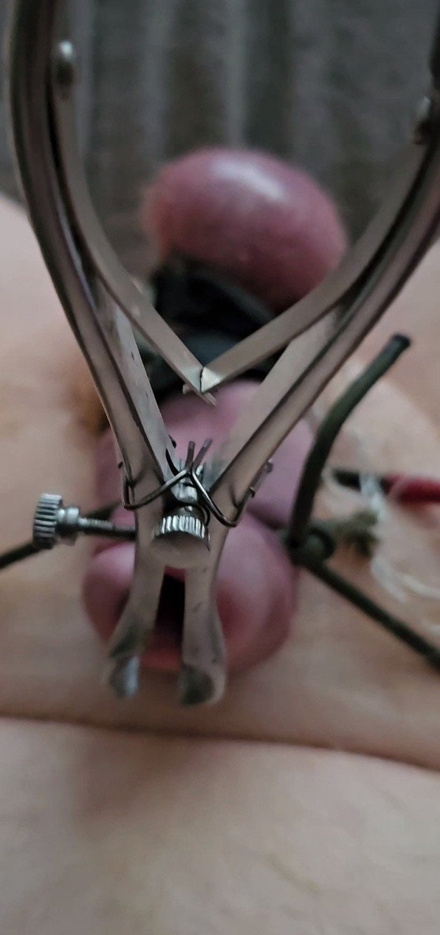 Watch the Photo by Blazinballs333 with the username @Blazinballs333, who is a verified user, posted on November 29, 2023. The post is about the topic CBT 4 ME. and the text says 'Me# Tortured Cock and Balls, Bound, Urethral Stretch With Electro E-stim Speculum, Electro Silicone Cock Ring and TENS Pads on Balls And Top of Knob End. Ending With a Navel Full of Tasty Cum.( i can only say "fucking hell, WOW"'