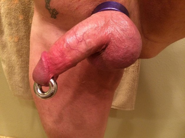 Photo by Asswerx with the username @asswerx,  July 14, 2023 at 4:12 PM. The post is about the topic Show your DICK and the text says '#asswerx #PA #princealbert #pierced #piercedcock #piercedpenis #piercing #cockring'