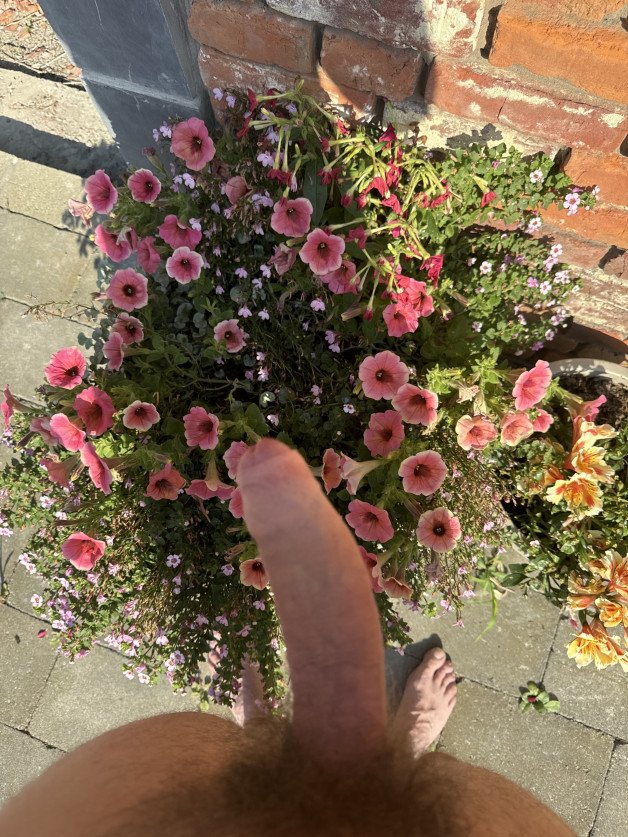 Photo by HornyAllTheTime with the username @Klenne1, who is a verified user,  July 28, 2024 at 4:01 PM and the text says 'other year, other flowers, same dick'