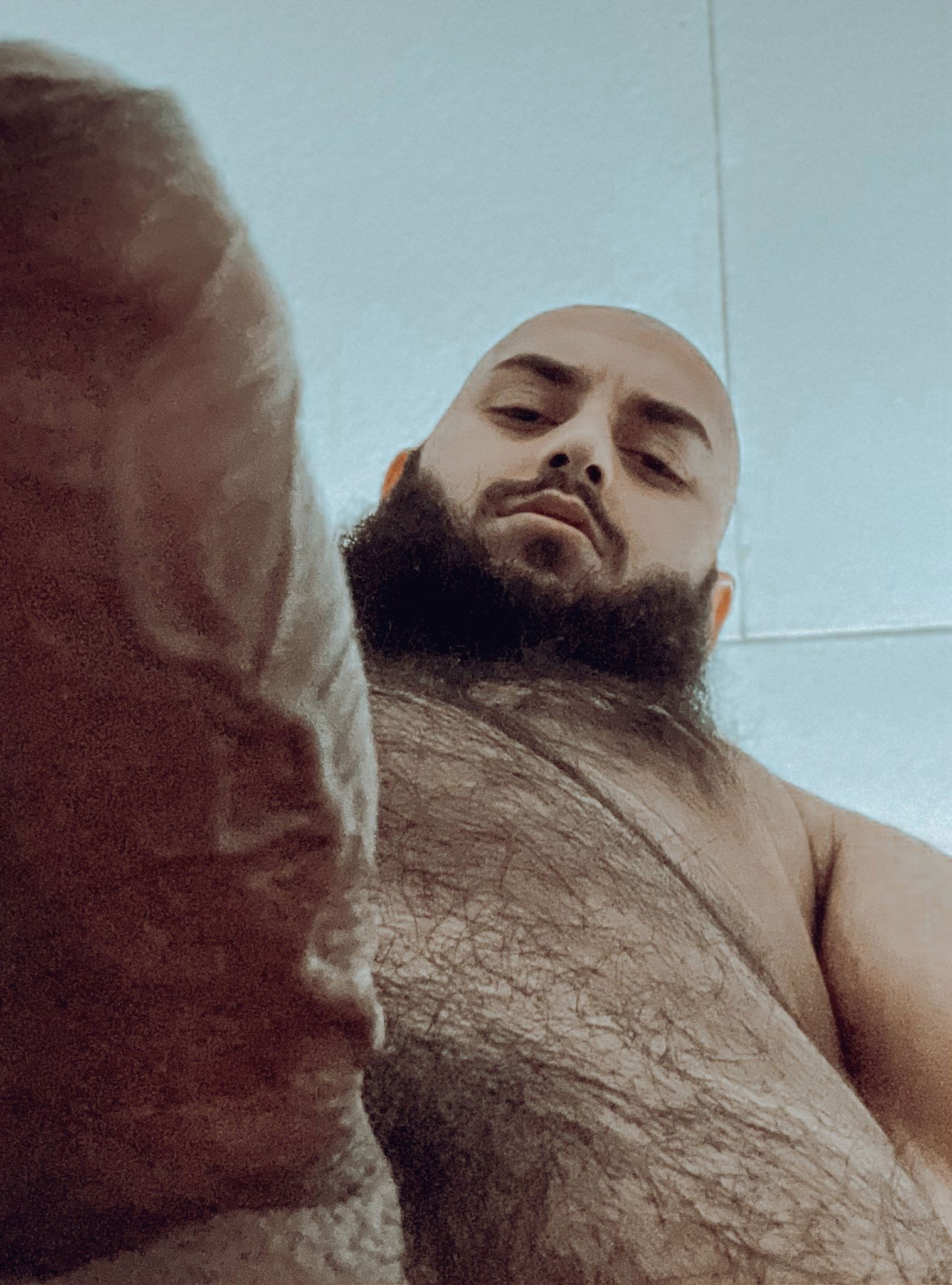Photo by MauiThor with the username @MauiThor, who is a verified user,  March 23, 2024 at 8:02 PM and the text says 'Hairy Bulgaria'