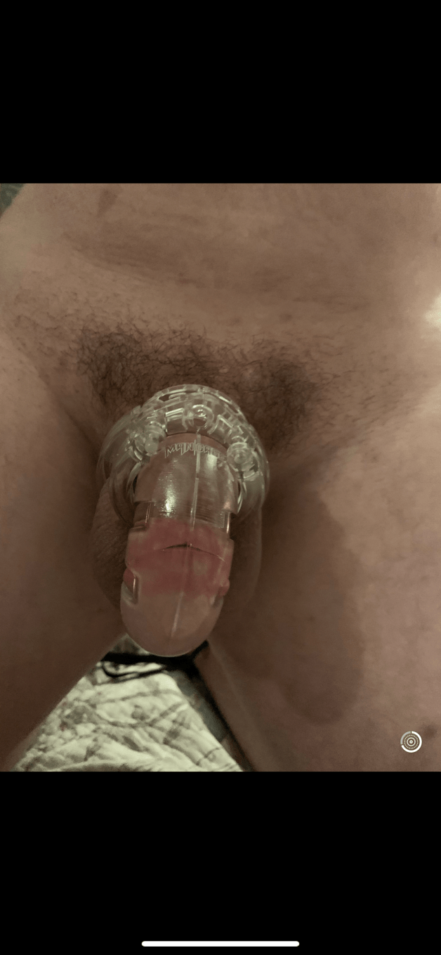 Photo by PenisEnvyCuckold with the username @PenisEnvyCuckold, who is a verified user,  January 9, 2024 at 11:40 PM