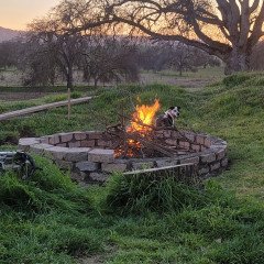 Photo by FresnoCountycouple with the username @FresnoCountycouple,  August 14, 2023 at 7:54 PM and the text says 'Our backyard firepit'
