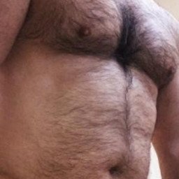 Photo by SeaBrettBurn with the username @SeaBrettBurn, who is a verified user,  May 1, 2024 at 2:30 AM. The post is about the topic Gay hairy bears