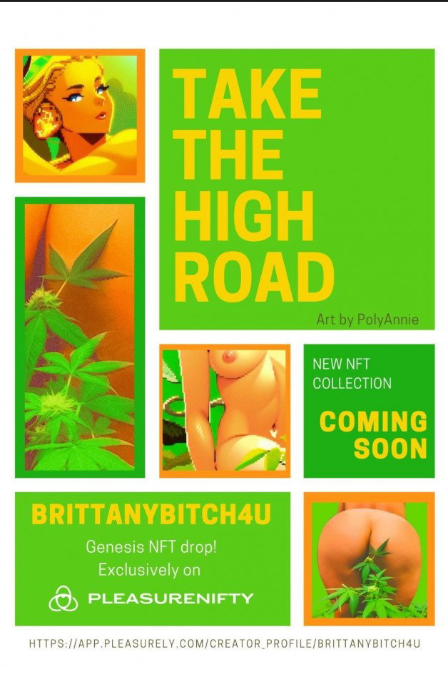 Photo by Brittanybitch4u with the username @Brittanybitch4u, who is a star user, posted on October 22, 2023 and the text says '💚🧡 Take The High Road💚🧡
  Exclusive NFT Collection Available Now!
by @brittanybitch4u, Art by @polyannie
https://opensea.io/collection/take-the-high-road'