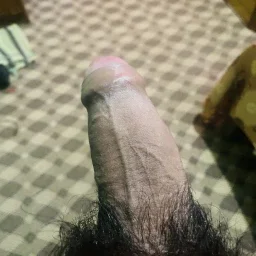 Photo by Oliver with the username @Oliver25, who is a verified user,  April 14, 2024 at 3:30 PM. The post is about the topic Rate my pussy or dick
