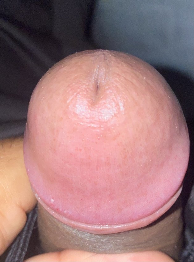 Photo by Oliver with the username @Oliver25, who is a verified user,  March 13, 2024 at 8:06 AM. The post is about the topic Cocks Up-Close and Personal and the text says 'ready to go'