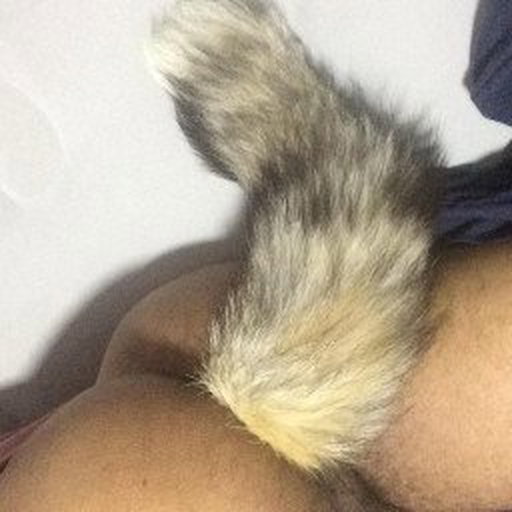 Photo by MasculineIntimates with the username @MasculineIntimates, who is a verified user,  April 27, 2024 at 4:59 PM. The post is about the topic Amateurs and the text says 'Foxy Foxy

#men #plug #anal #foxy #gay #top #bottom #sex #latin'