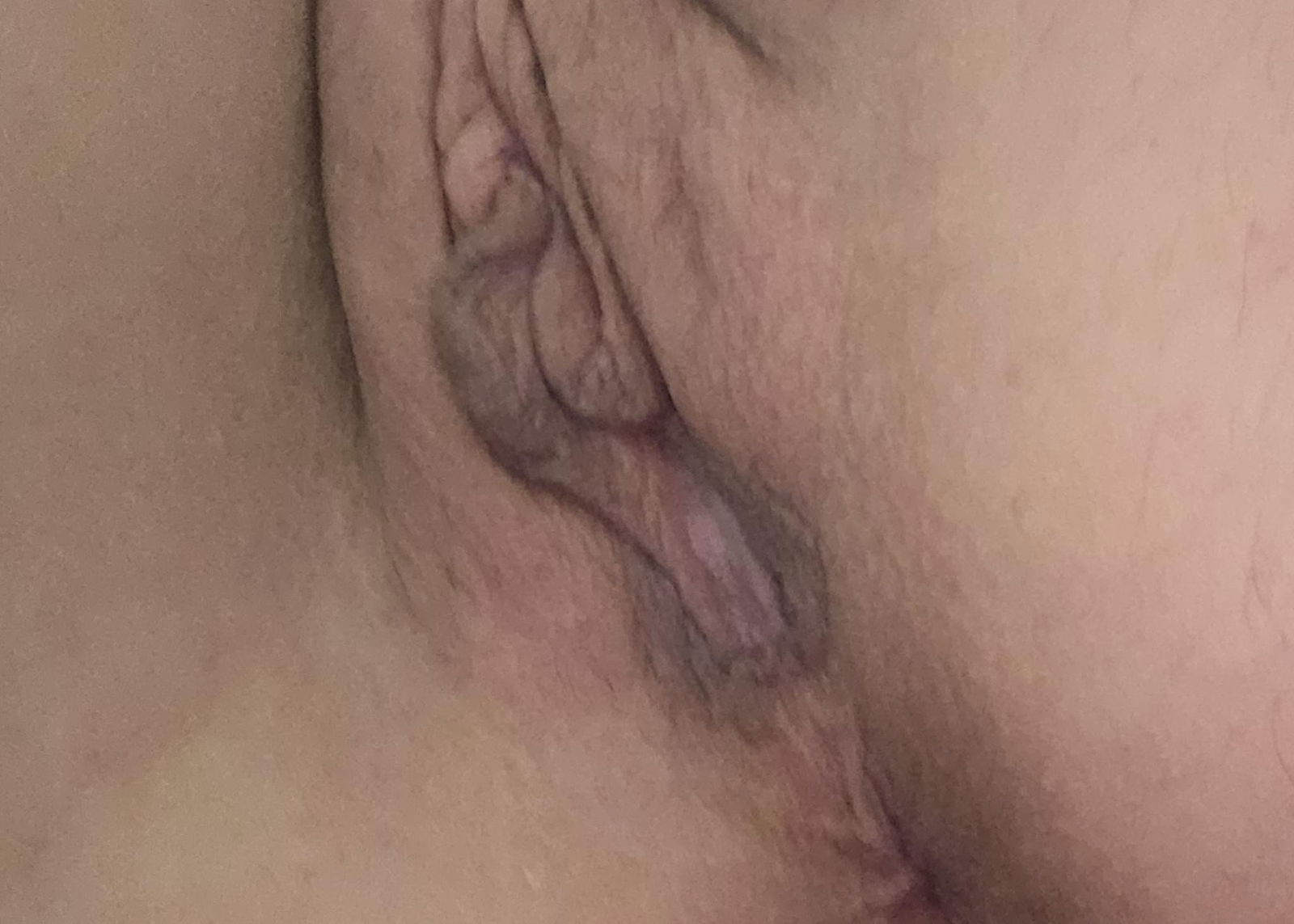 Photo by SexyHotwife & Happy Hubby with the username @HotwifeandHappyHubby, who is a star user,  June 28, 2024 at 12:35 PM and the text says 'Wow!  Date night was a blast...and a success 😉

I love having two cocks in one day!  Have a sexy Friday, yall!  


#Hotwife #slut #SharedWife #Vixen #cum #tits #piercedtits #pierced #ass #pussy #bi #bisexual #milf
#LongTallKitKat'