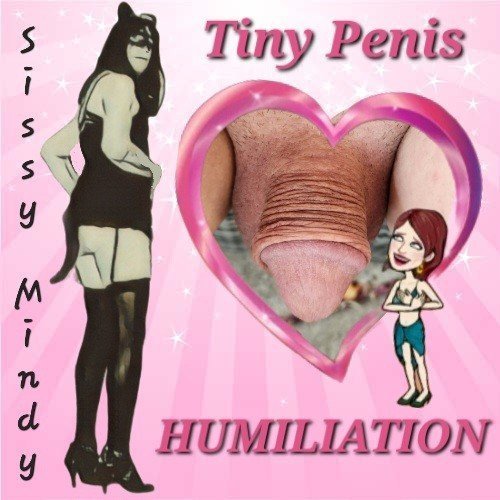 Photo by SissyMindy with the username @SissyMindy, who is a verified user,  December 22, 2023 at 6:08 PM. The post is about the topic Femboy and the text says 'Say hello to my little friend'