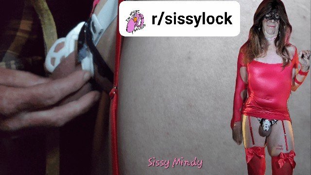 Photo by SissyMindy with the username @SissyMindy, who is a verified user,  November 27, 2023 at 4:31 AM. The post is about the topic Sissy Cum Love and the text says 'if you're on redditt,  please join my new group'