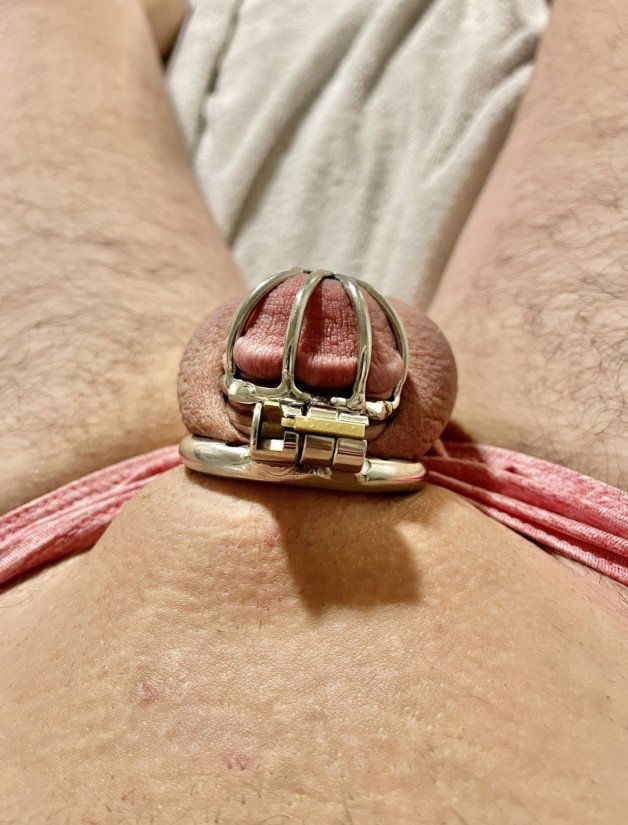 Photo by SensuallyDelicious24 with the username @SensuallyDelicious24,  September 20, 2023 at 7:46 PM and the text says 'I have a micro peen that doesn’t satisfy my girl, so it gets locked up… #cuckold #chastity #betaboy #sph #emasculated'