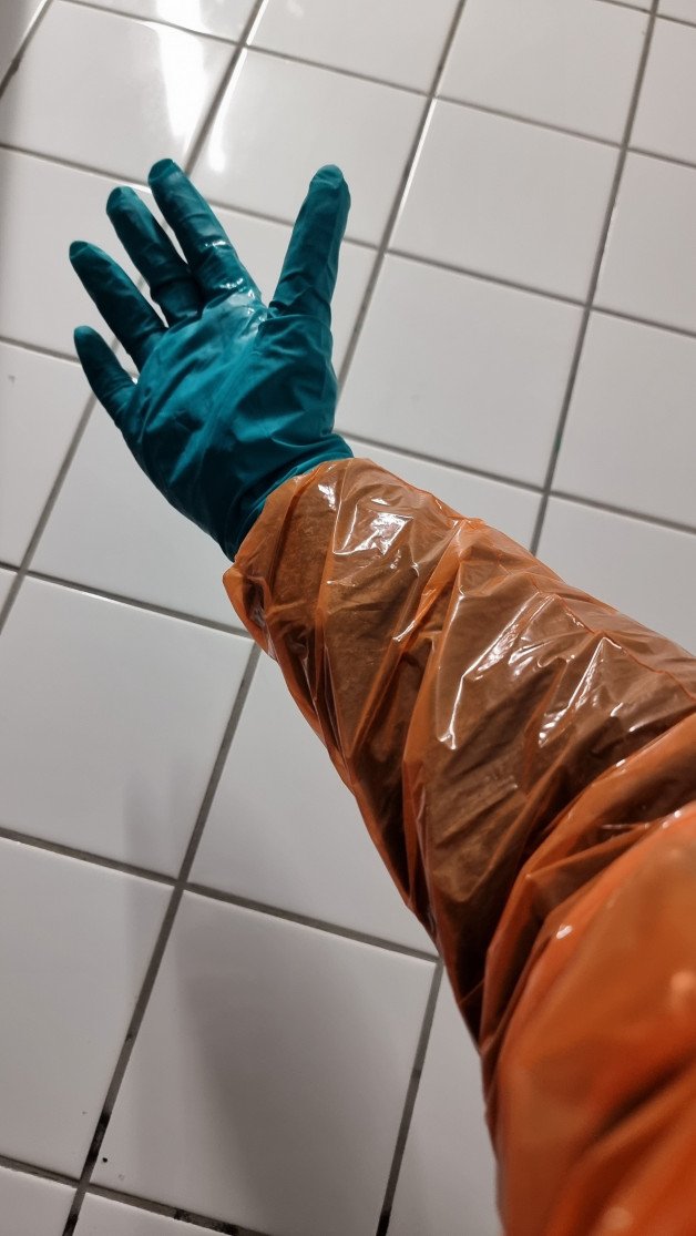 Album by CyDraCyberDragon with the username @CyDraCyberDragon, who is a verified user,  December 9, 2023 at 9:40 AM and the text says 'Masturbation and fingering in public toilets with a veterinary glove'