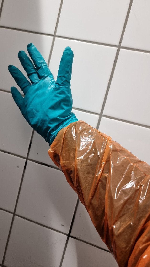 Photo by CyDraCyberDragon with the username @CyDraCyberDragon, who is a verified user,  December 9, 2023 at 9:40 AM and the text says 'Masturbation and fingering in public toilets with a veterinary glove'