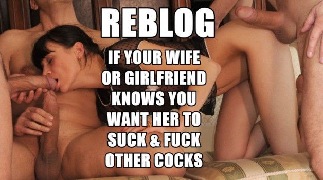 Watch the Photo by dirtytyke with the username @dirtytyke, who is a verified user, posted on March 30, 2016 and the text says 'cjandk:

jimdiamond:

Reblog if your wife or girlfriend knows….

Love watching my wife sucking and fucking otheren'